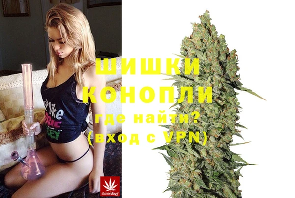 дурь Жердевка