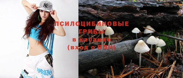 молекула духа Железногорск-Илимский