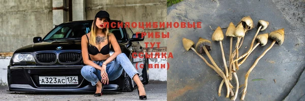 трава Железноводск