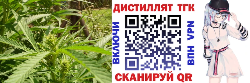 наркотики  ссылка на мегу ссылки  Дистиллят ТГК THC oil  Заозёрск 